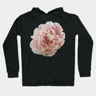 Pink Peony Hoodie